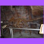 Dinosaur 3.jpg